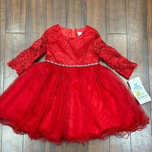 NWT Gorgeous Rare Editons Christmas Dress size 4T